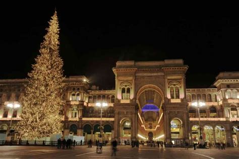 Alberi di Natale a Milano 2023, dove vederli: le.